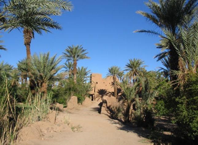 Kasbah Berbere Ouriz Agdz Exterior photo